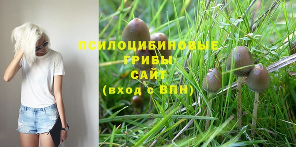 бутират Аркадак