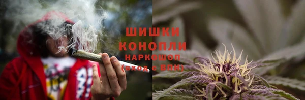 соль ск Алексеевка