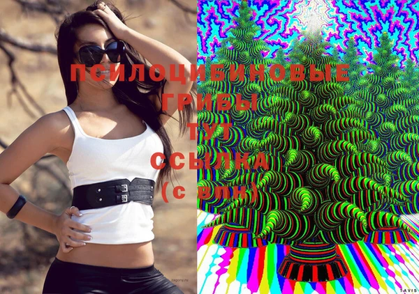 бутират Аркадак