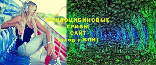 spice Арсеньев
