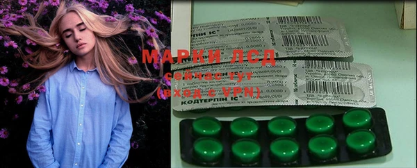 spice Арсеньев