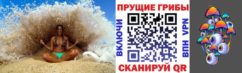 Псилоцибиновые грибы Psilocybe  закладки  Волгодонск 